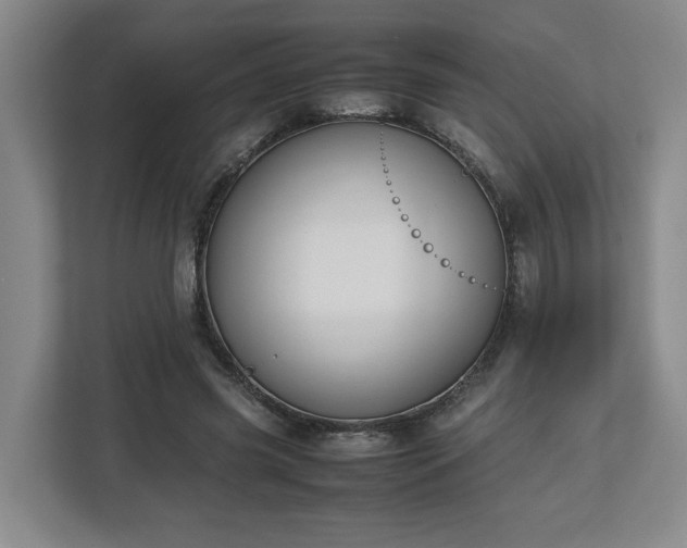 X0000112730541200908271430