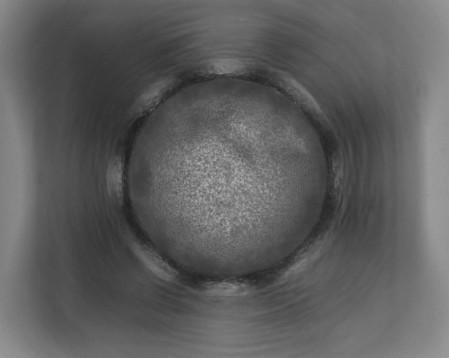 X0000112730542200908271430