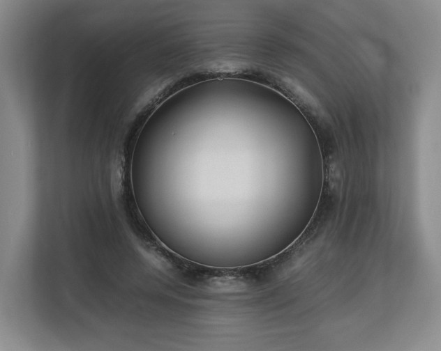 X0000112730544200908271430