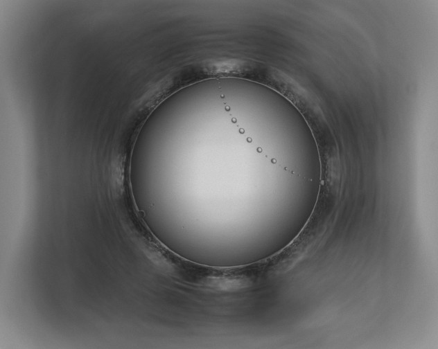 X0000112730545200908271430