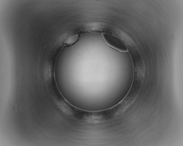 X0000112730546200908271430