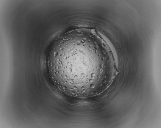 X0000112730547200908271430