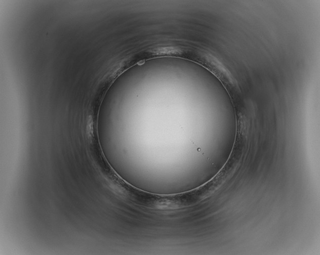 X0000112730549200908271430