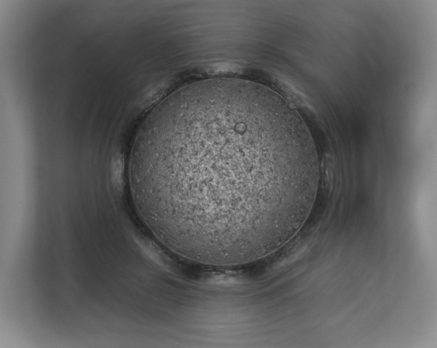 X0000112730550200908271430