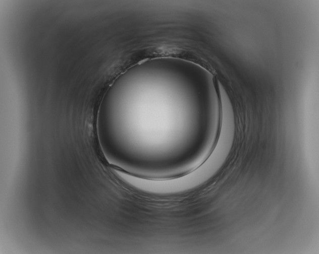 X0000112730553200908271430