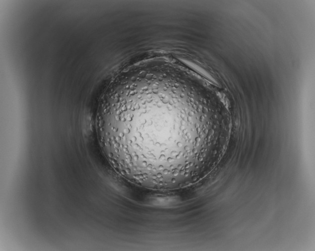 X0000112730555200908271430