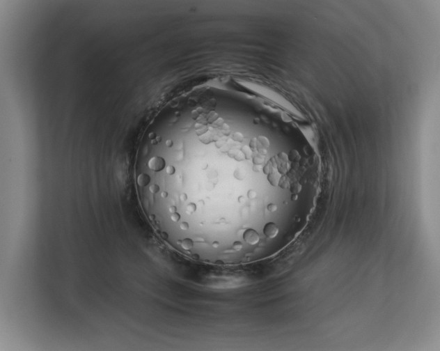 X0000112730559200908271430