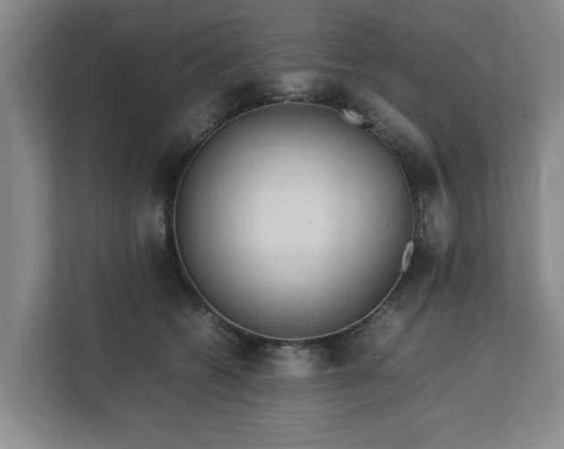 X0000112730562200908271430