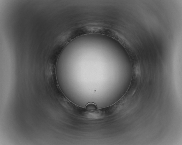 X0000112730567200908271430