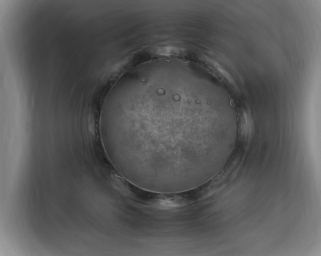 X0000112730569200908271430