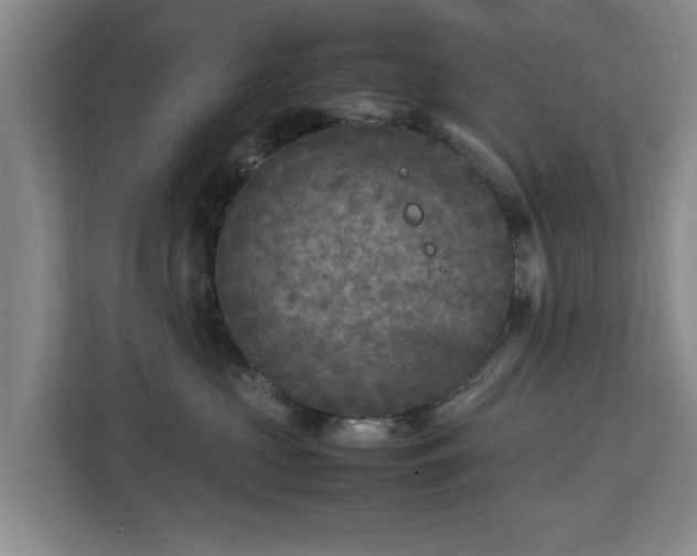 X0000112730573200908271431