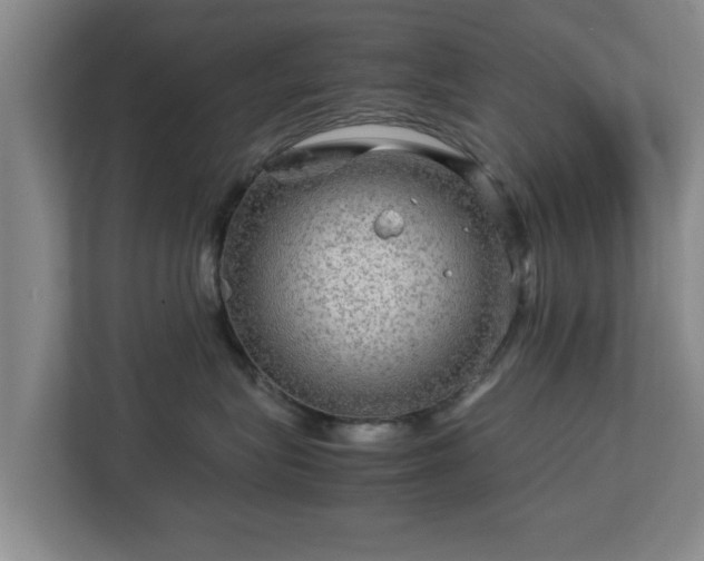 X0000112730575200908271431