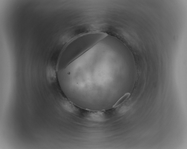 X0000112730576200908271431