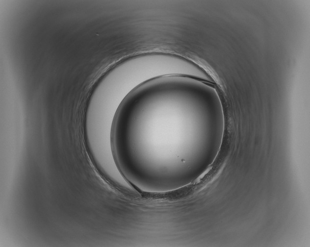 X0000112730577200908271430