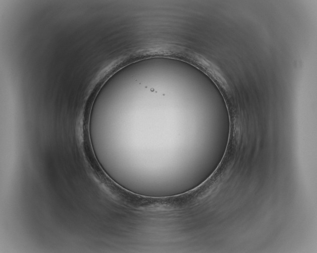 X0000112730578200908271430