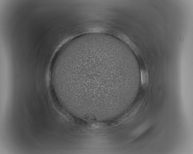 X0000112730579200908271430