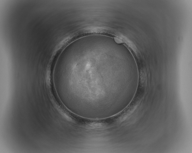 X0000112730581200908271430