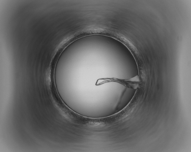 X0000112730582200908271430