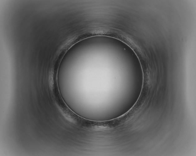 X0000112730586200908271430