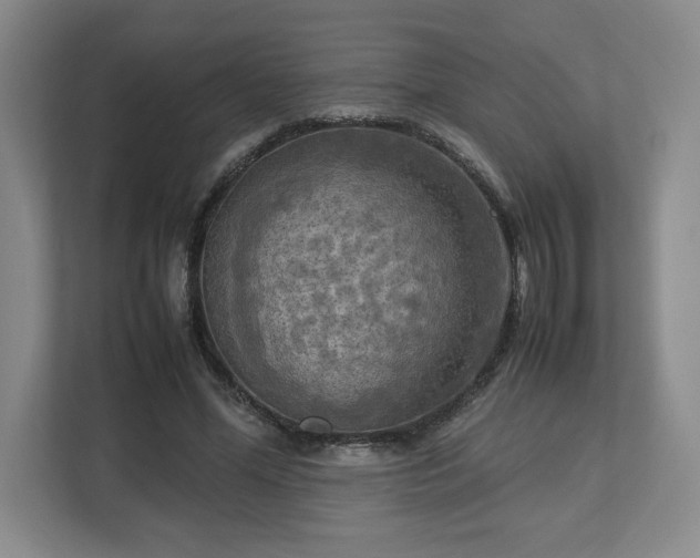 X0000112730588200908271430