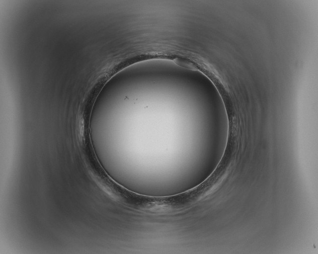 X0000112730589200908271430