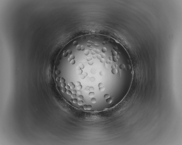 X0000112730594200908271430