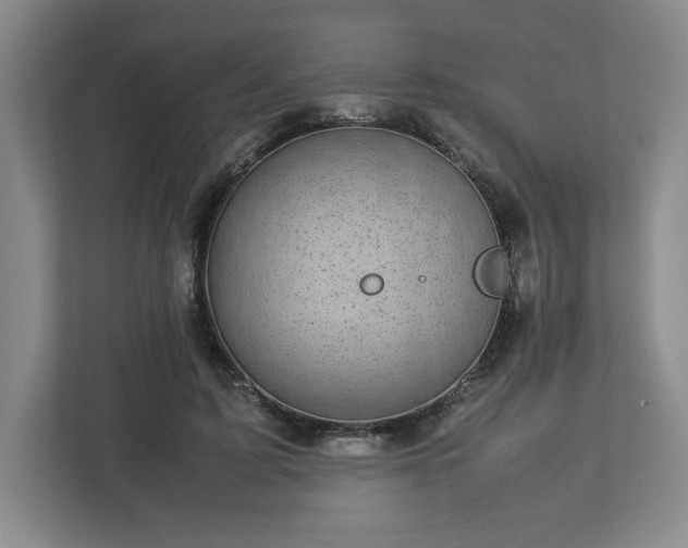 X0000112730595200908271430