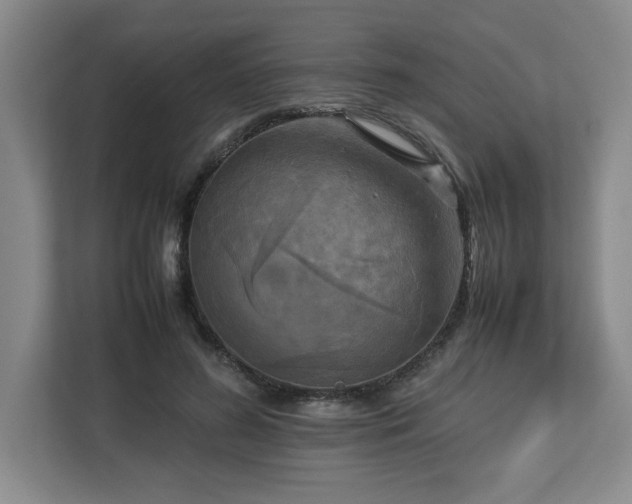 X0000112730596200908271430