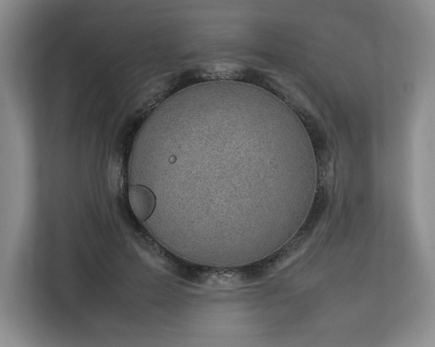 X0000112730599200908271430