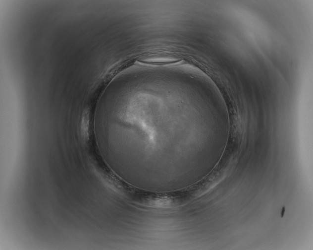 X0000112730600200908271430