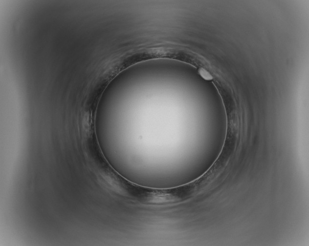 X0000112730605200908271430