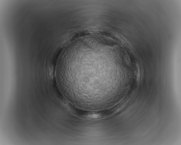 X0000112730610200908271430