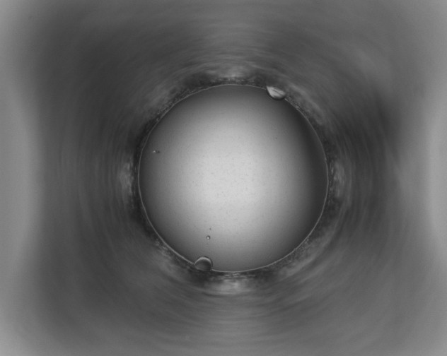 X0000112730612200908271429