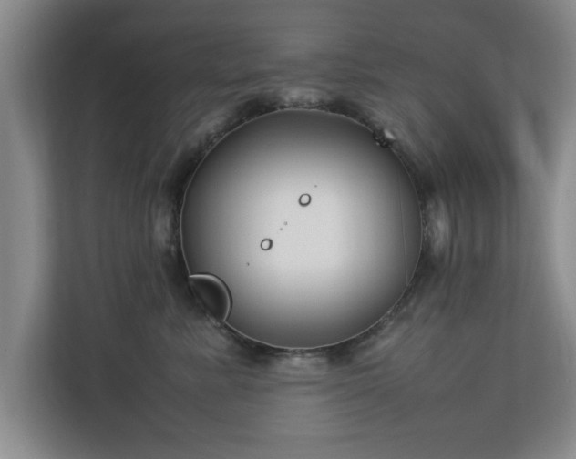 X0000112730619200908271429