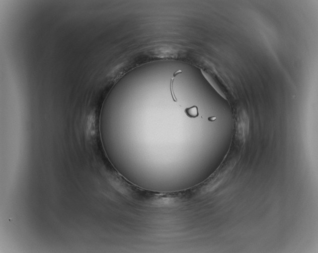 X0000112730620200908271429