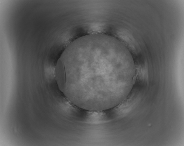 X0000112730621200908271429