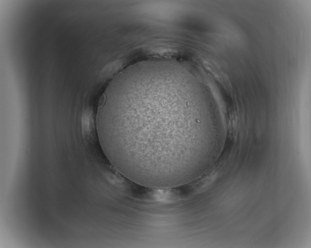 X0000112730623200908271429