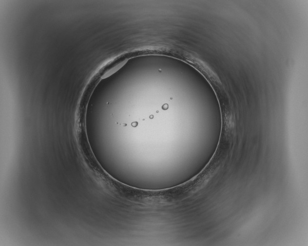 X0000112730628200908271429