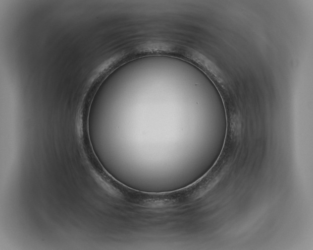 X0000112730629200908271429