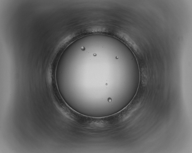 X0000112730631200908271429