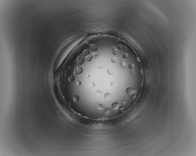 X0000112730634200908271429