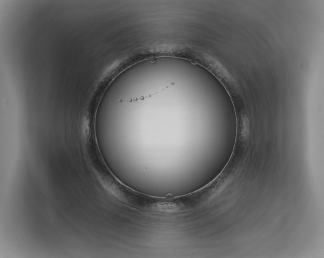 X0000112730636200908271429