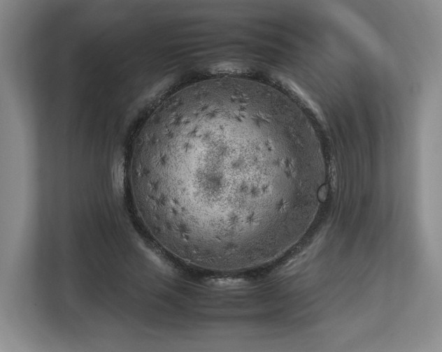 X0000112730637200908271429
