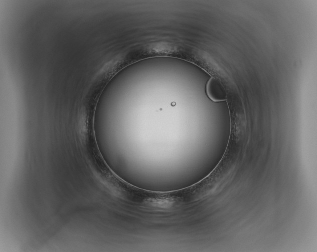 X0000112730639200908271429