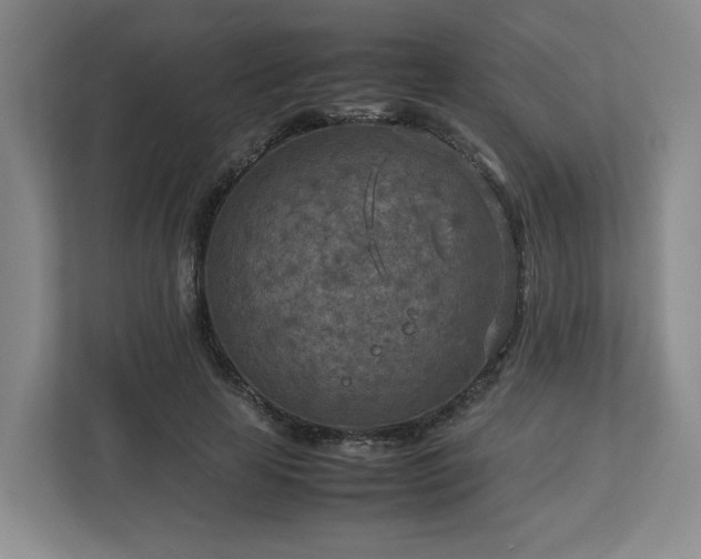 X0000112730641200908271429