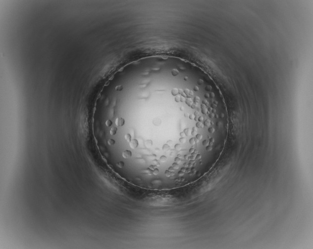 X0000112730642200908271429