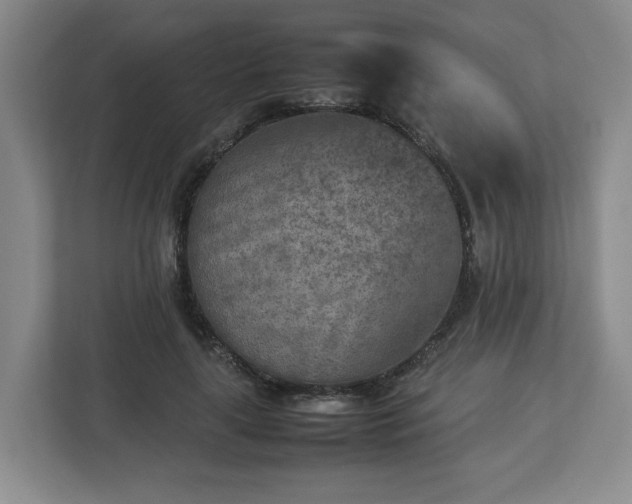 X0000112730643200908271429