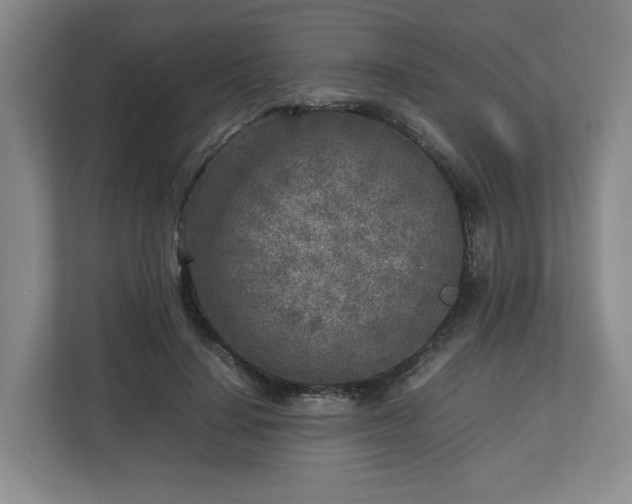 X0000112730644200908271429