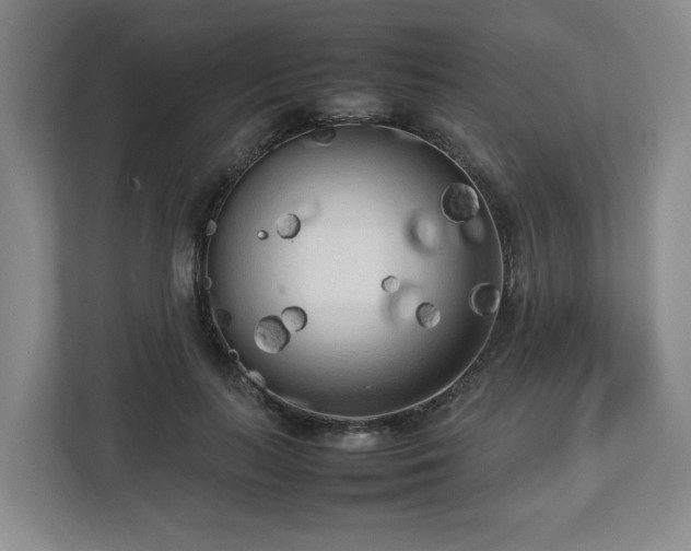 X0000112730647200908271429