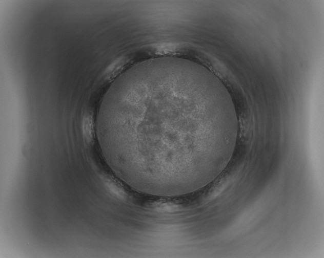 X0000112730648200908271429